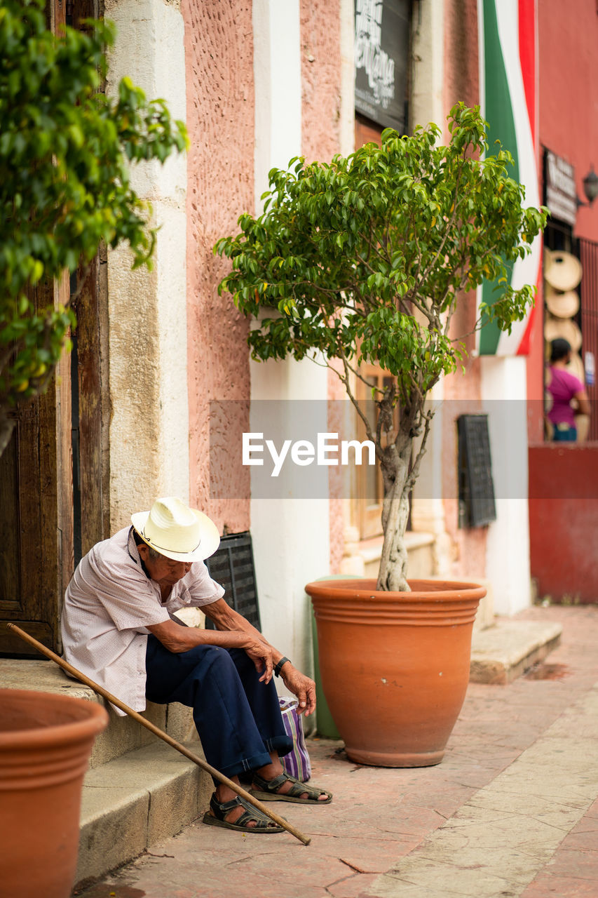 Rear view of old man sitting by plants