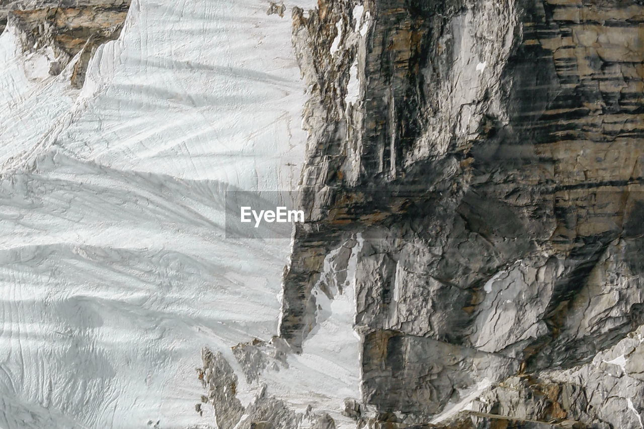 CLOSE-UP OF TREE TRUNK IN WINTER LANDSCAPE