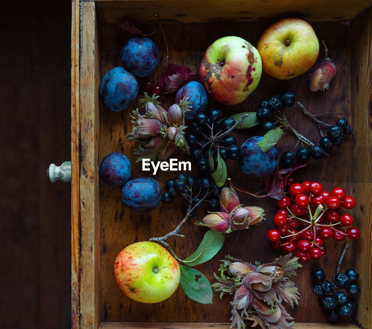 Still life with  autumn fruits and berries