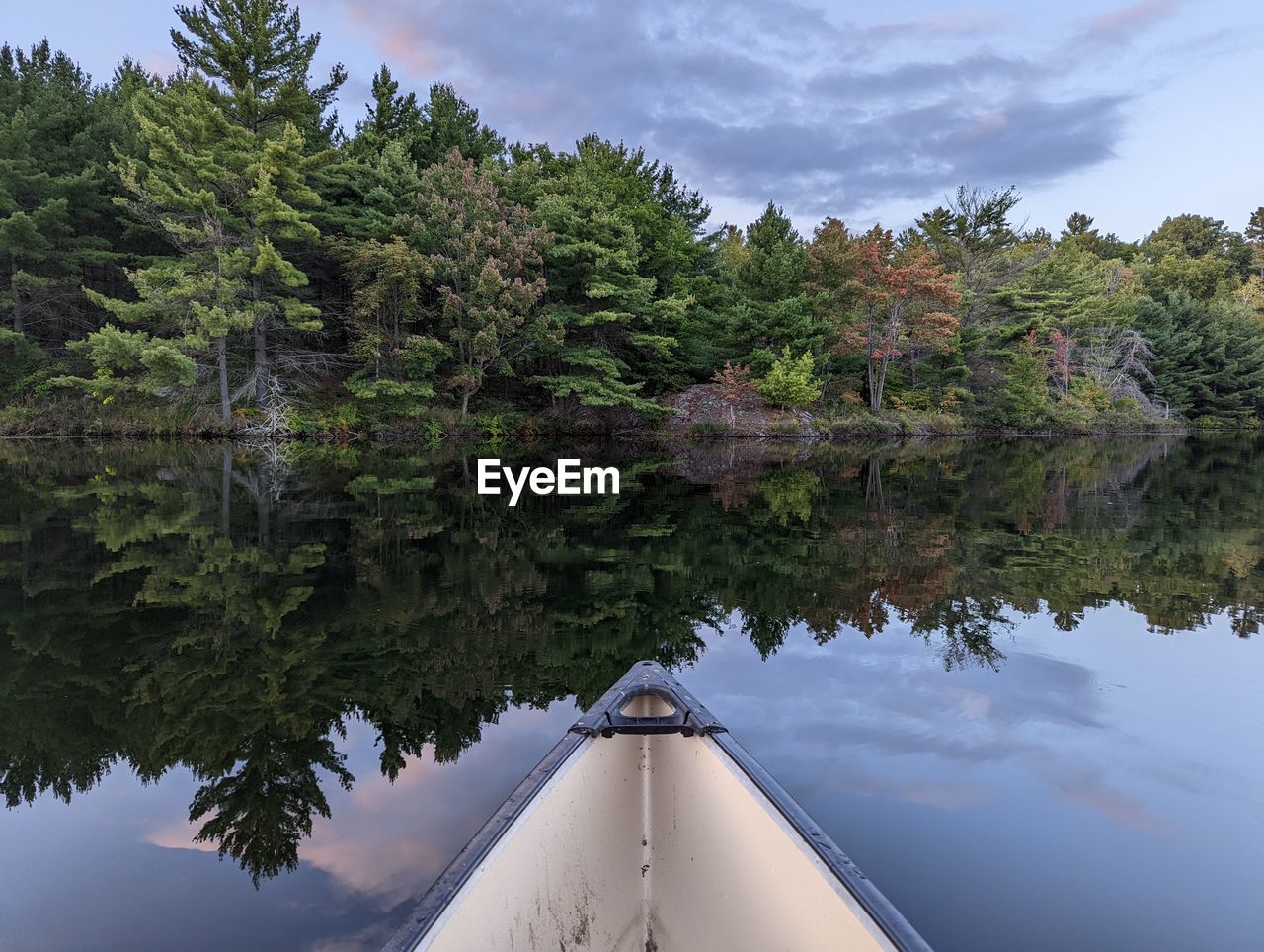 Calm view of forest from canoe on lake