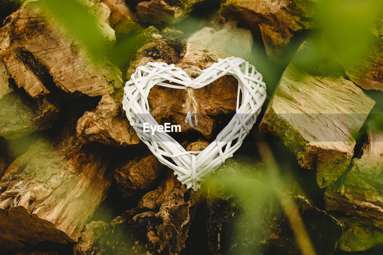 Close-up of rings in heart shape over log