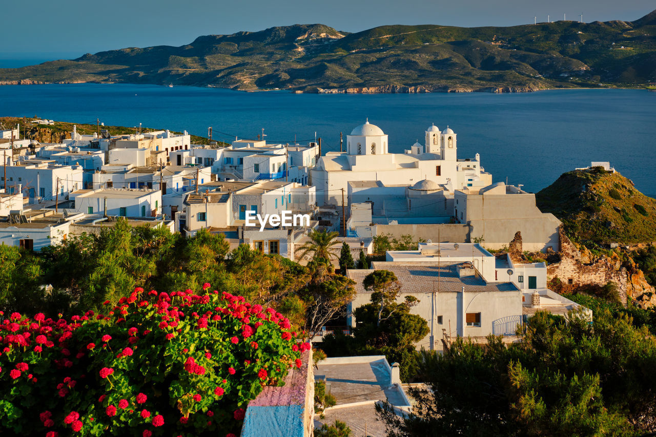 Picturesque scenic view of greek town plaka on milos island over red geranium flowers