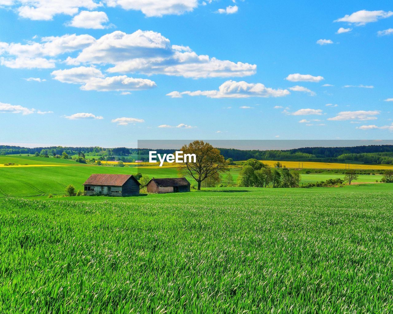 AGRICULTURAL FIELD AGAINST SKY