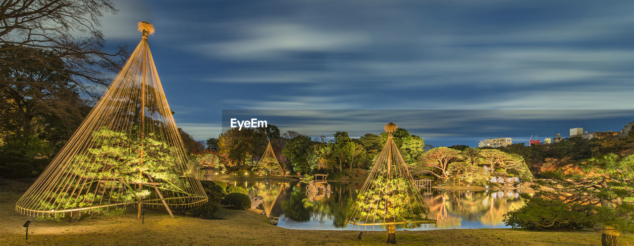 Panorama of autumn night light-up of the tokyo park with pine trees protected by a winter umbrella .