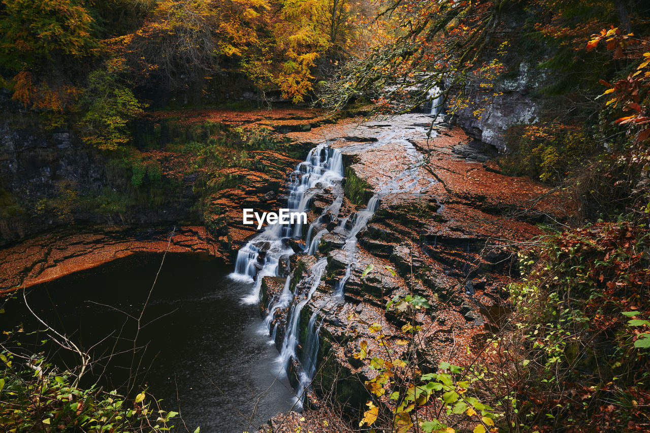 High angle view of waterfall on rocks in forest during autumn 