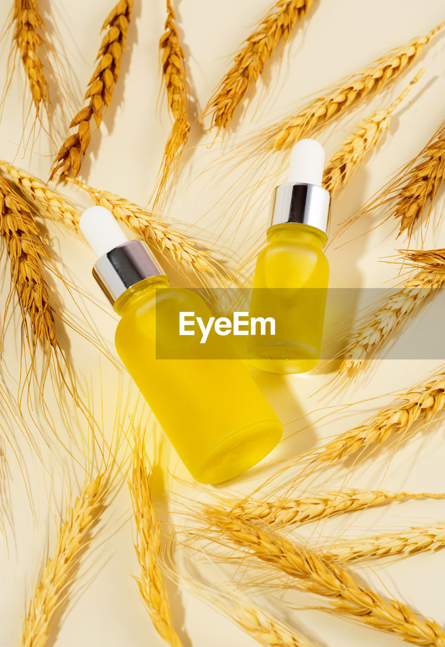 Wheat essential oils and wheat germ. self-care and wellness. top view