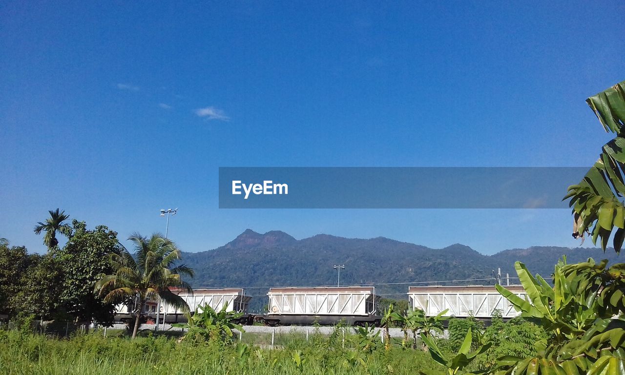 SCENIC VIEW OF FIELD AGAINST CLEAR SKY