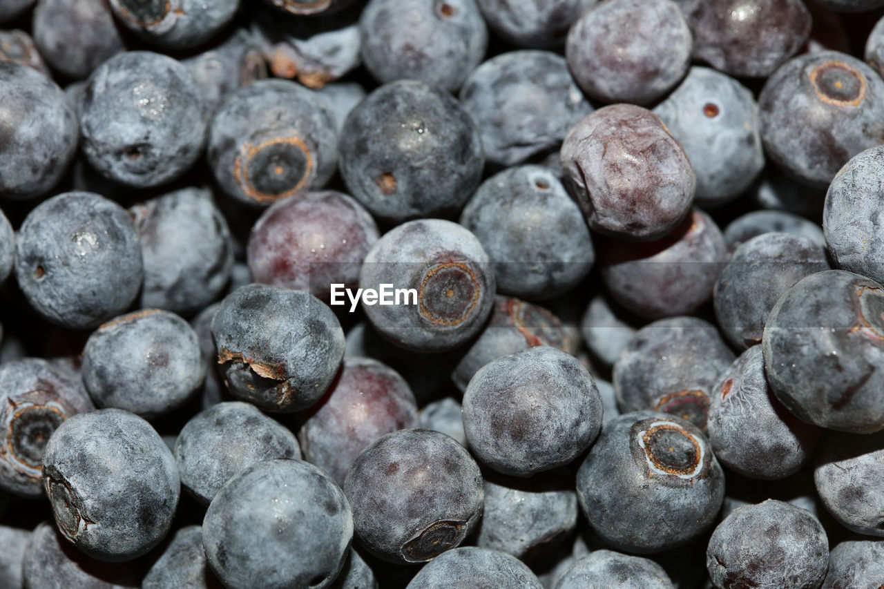 Full frame shot of blueberries