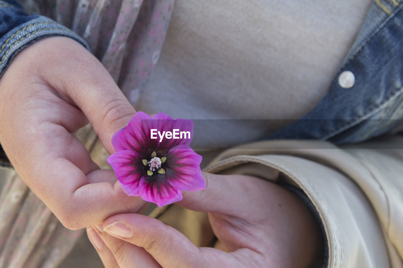 Midsection of woman holding pink flower