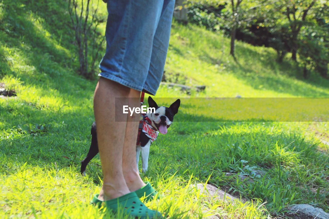 LOW SECTION OF WOMAN STANDING ON GRASSY FIELD