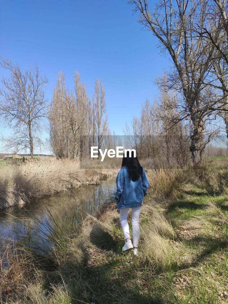 tree, plant, nature, day, sky, adventure, one person, animal themes, outdoors, blue, sunlight, men, branch, wilderness, animal, one animal, leisure activity, water, bare tree, growth, land, winter, beauty in nature, lifestyles, animal wildlife, reflection, clear sky