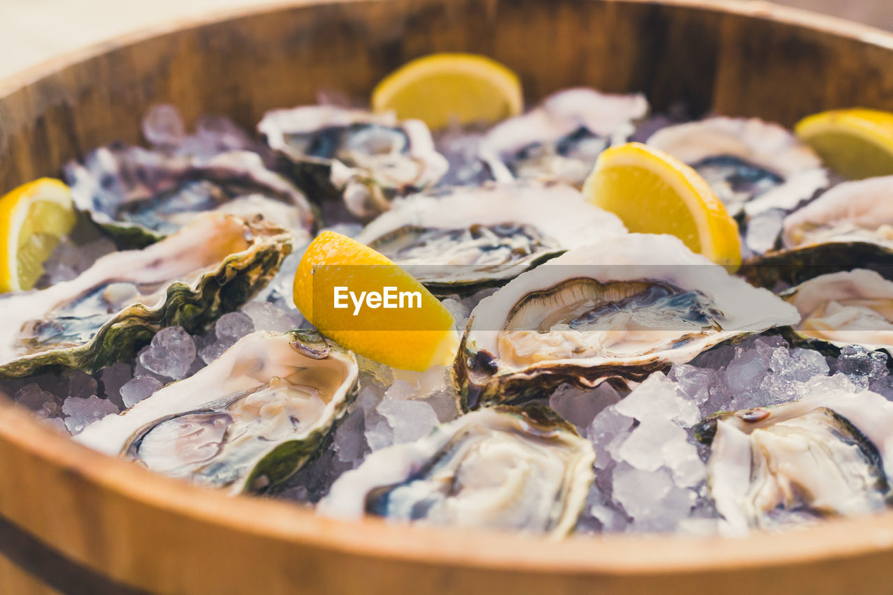 A dozen oysters on ice with lemon, seafood aphrodisiac