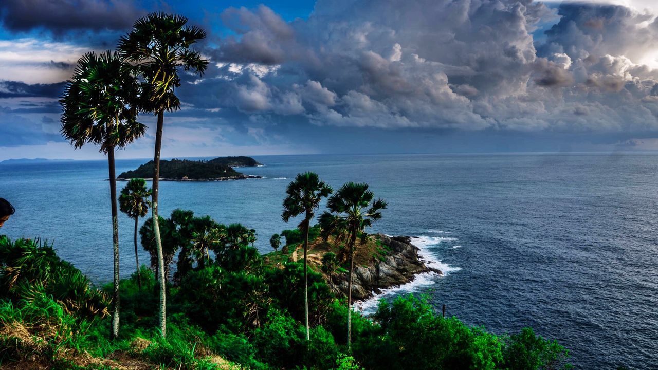 SCENIC VIEW OF SEA AND PALM TREES