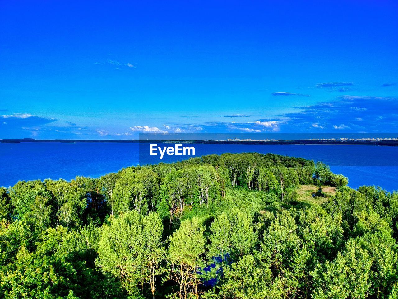 SCENIC VIEW OF SEA AND TREES AGAINST BLUE SKY