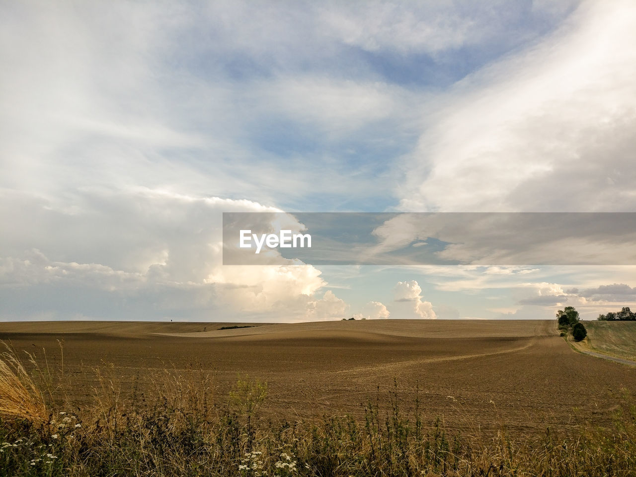 Scenic view of agricultural field against sky