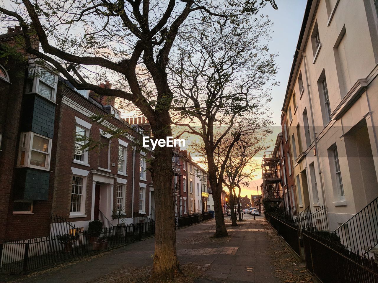 STREET AMIDST BARE TREES IN CITY