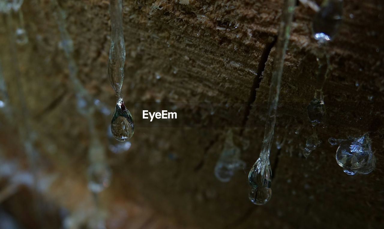 CLOSE-UP OF WATER DROPS ON GLASS