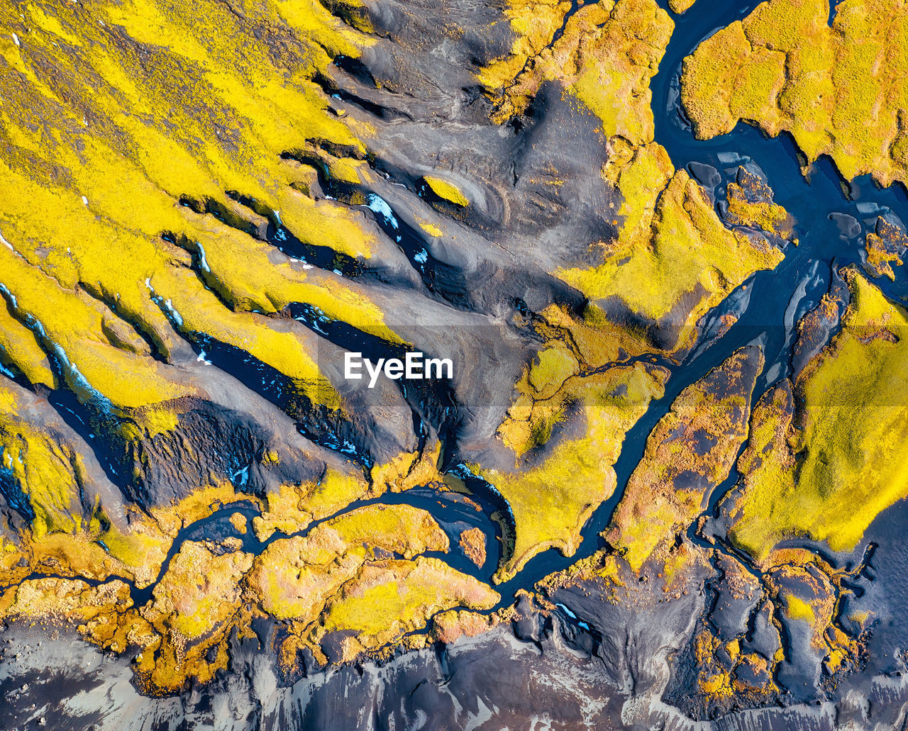 High angle view of yellow leaf on land