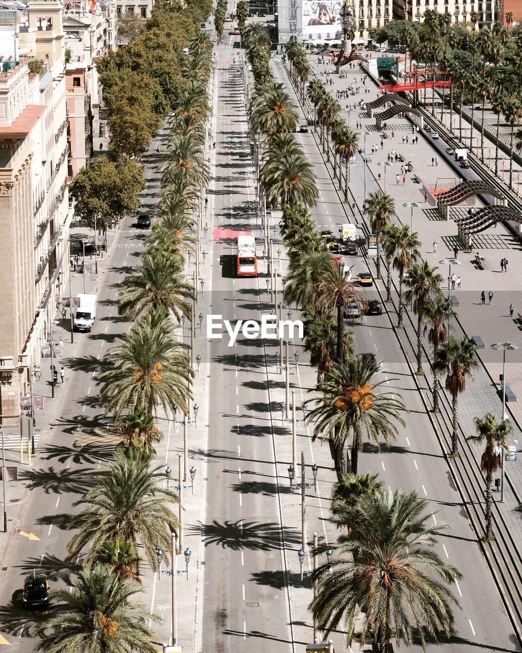 HIGH ANGLE VIEW OF PALM TREES AND BUILDINGS