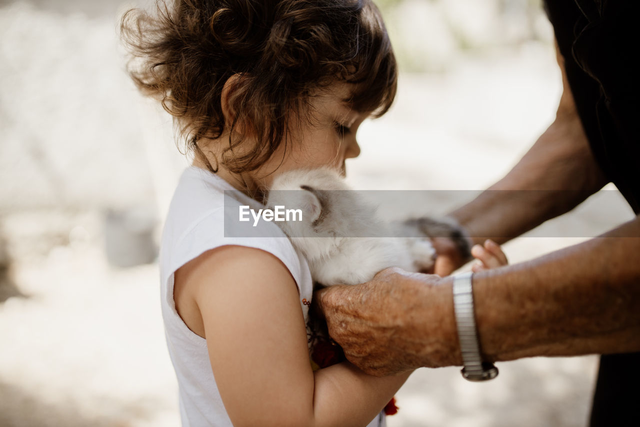 Cute girl holding cat with grandfather