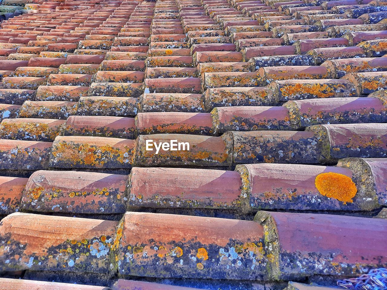 Full frame shot of roof tiles