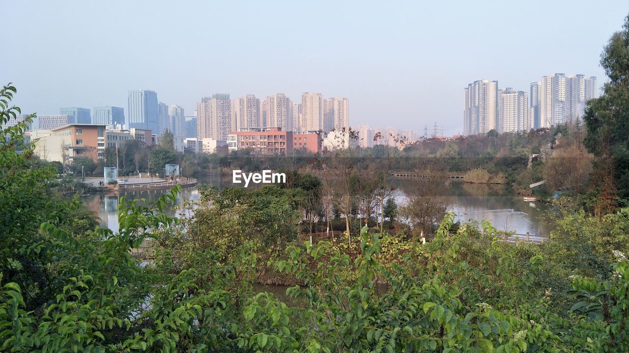 TREES AND CITYSCAPE AGAINST SKY