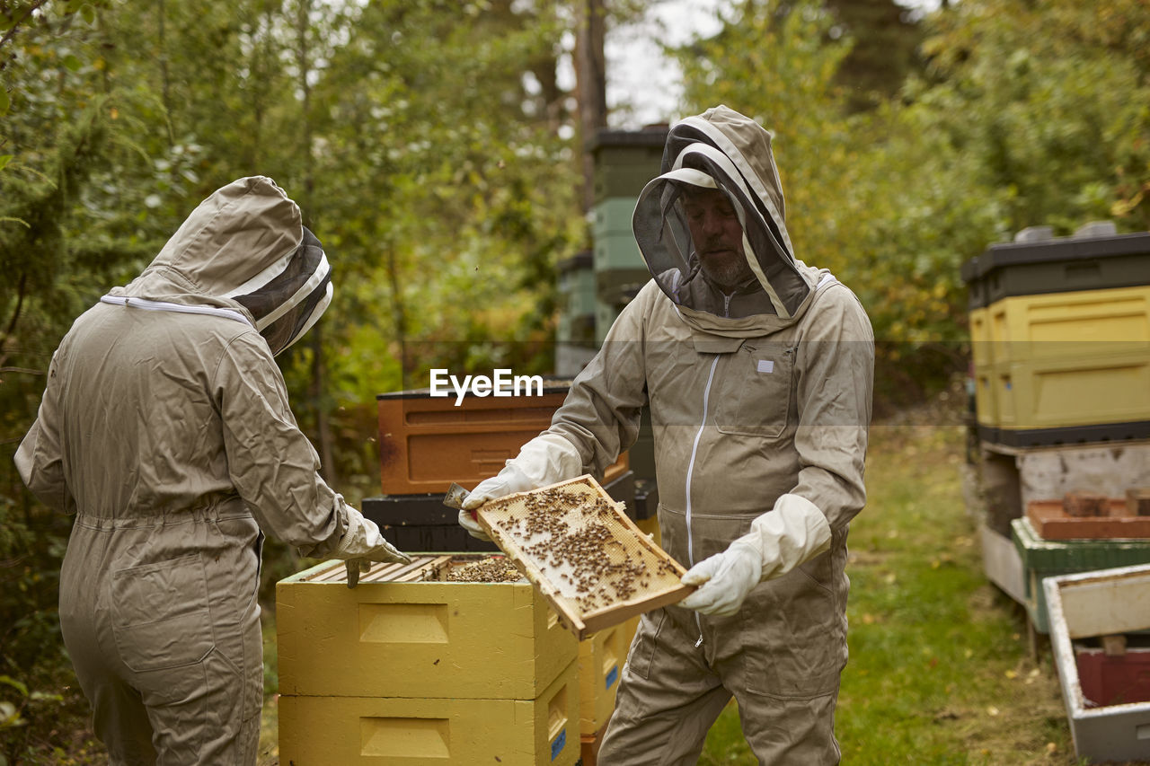 Bee-keepers during work