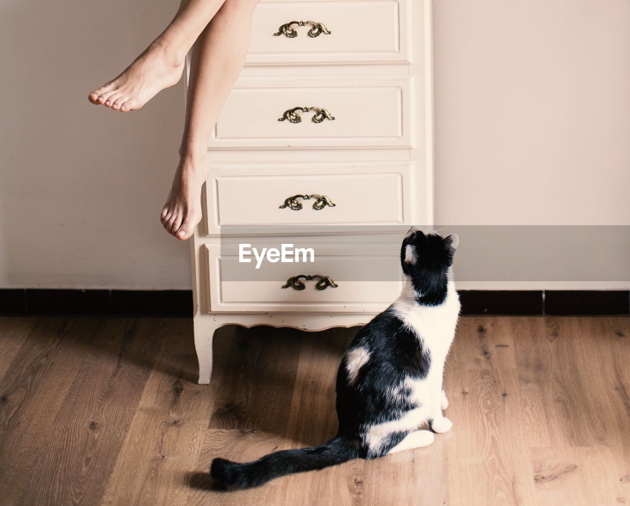 Cat looking at woman sitting on drawer at home