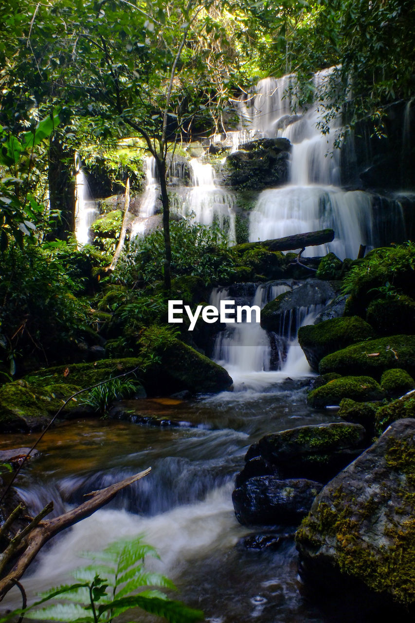 WATERFALL IN FOREST