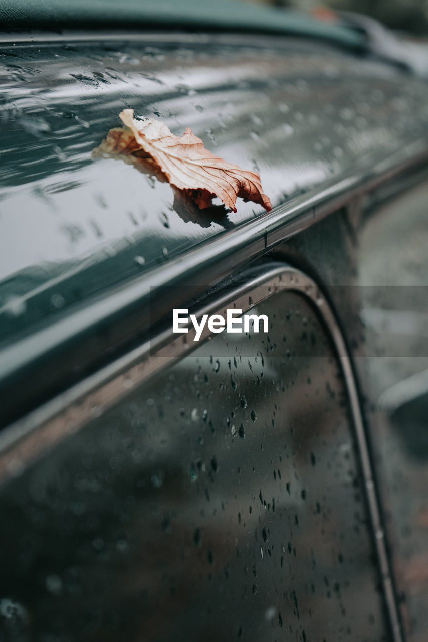 Close-up of wet car windshield