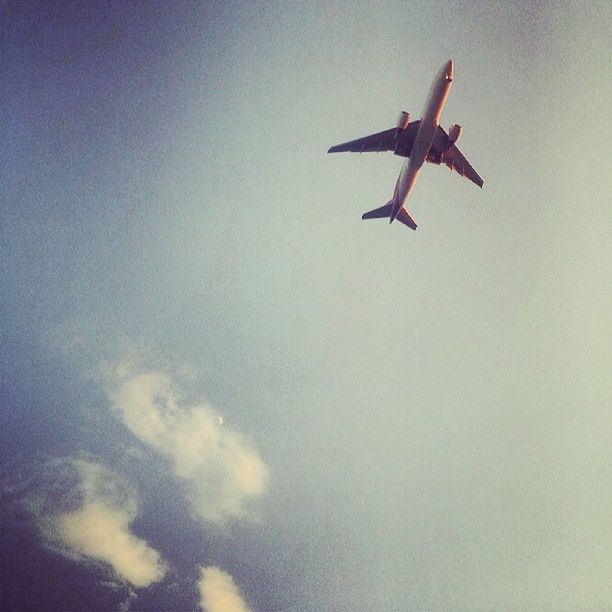 LOW ANGLE VIEW OF BIRDS FLYING OVER SKY