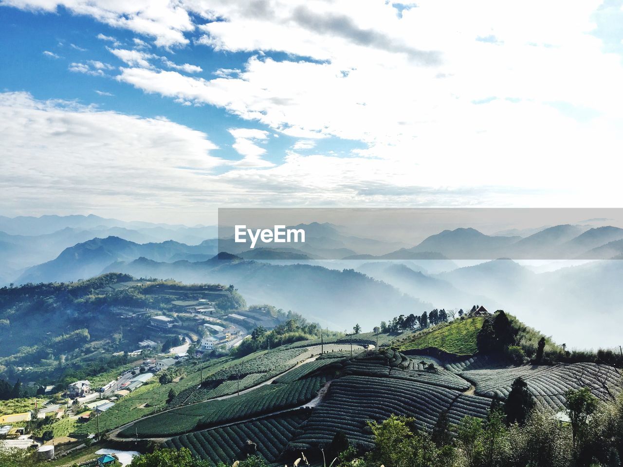 Scenic view of agricultural field against sky