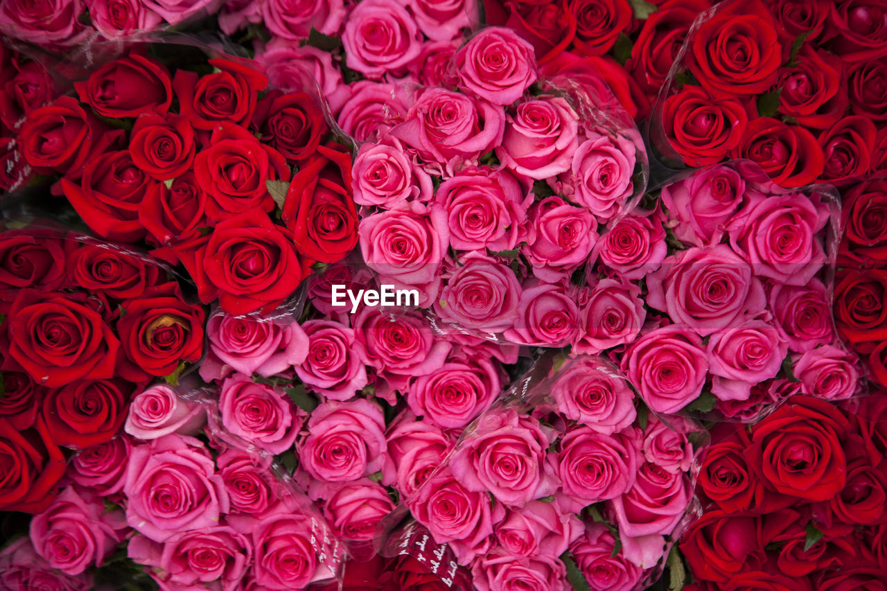 Full frame shot of rose bouquets