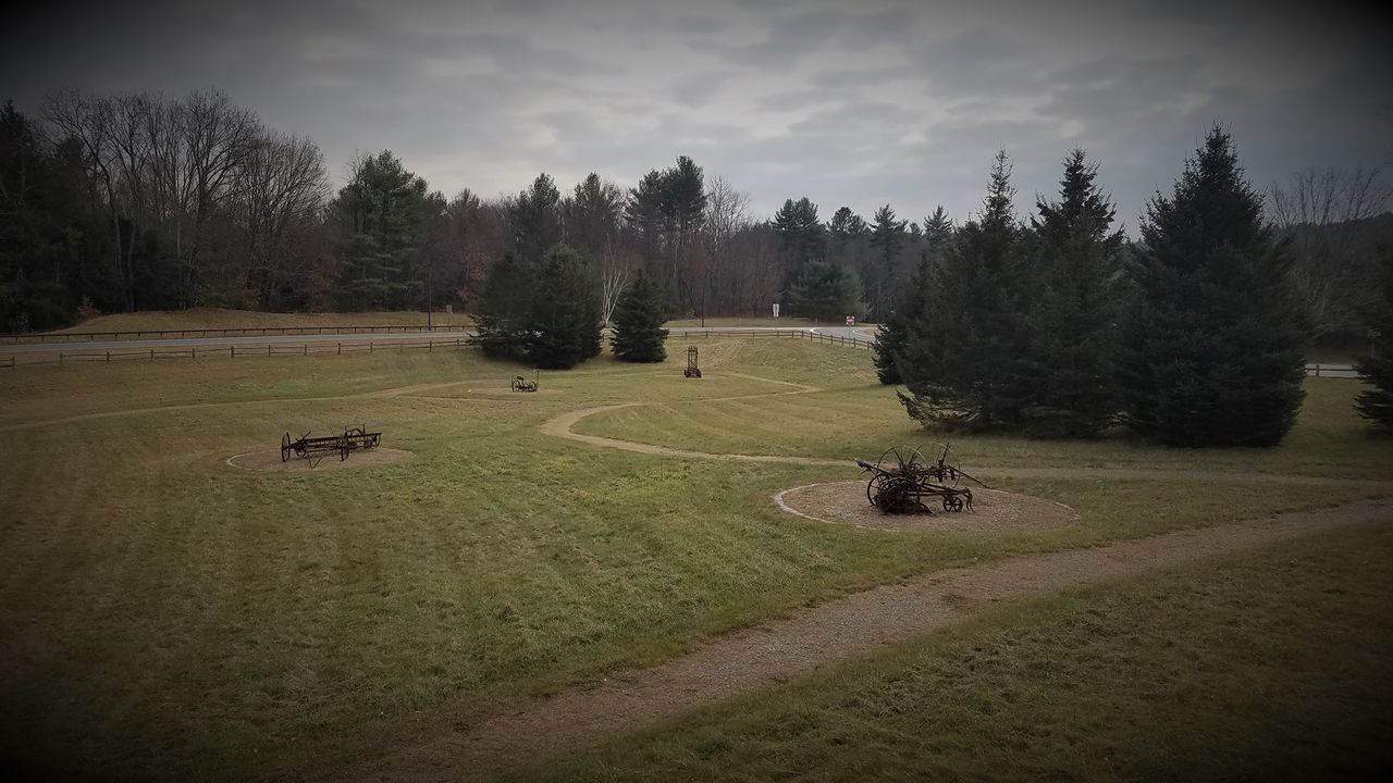 VIEW OF TREES ON FIELD AGAINST SKY