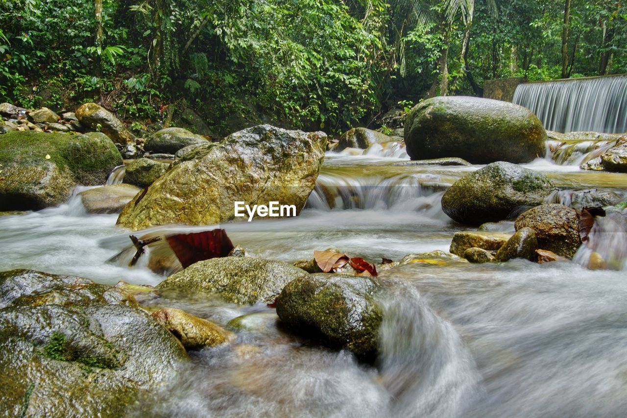 SCENIC VIEW OF WATERFALL IN FOREST