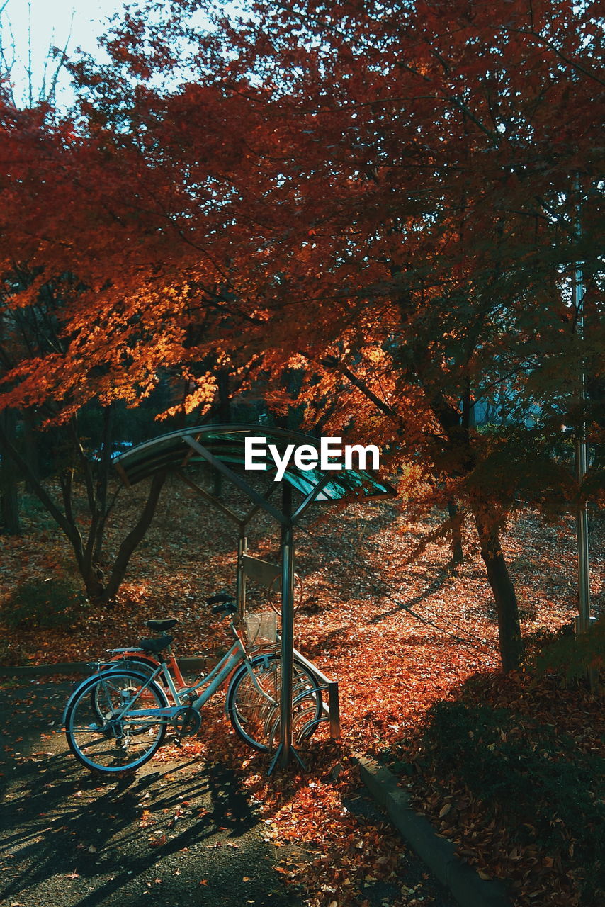 High angle view of bicycle parked during autumn