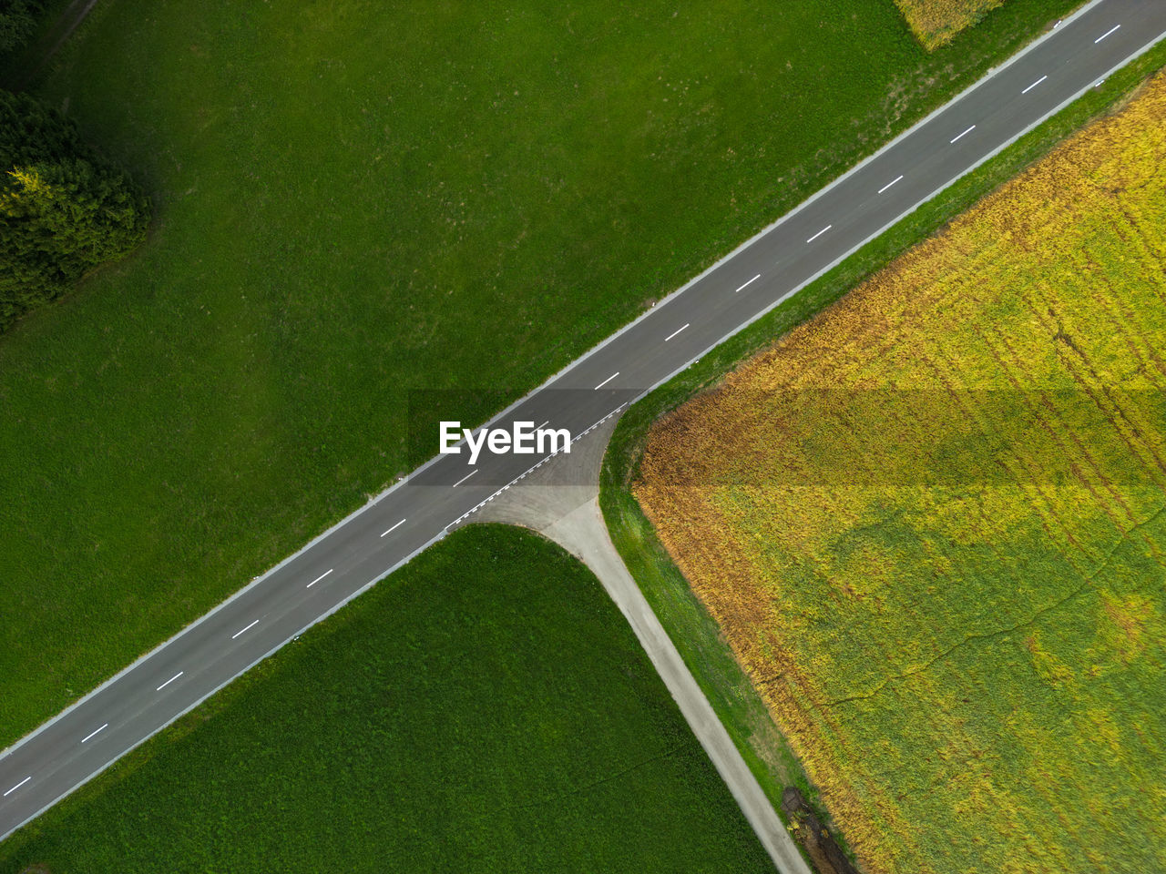 High angle view of agricultural field crossed by a street