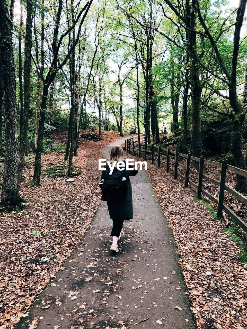 Rear view of woman walking amidst trees at forest