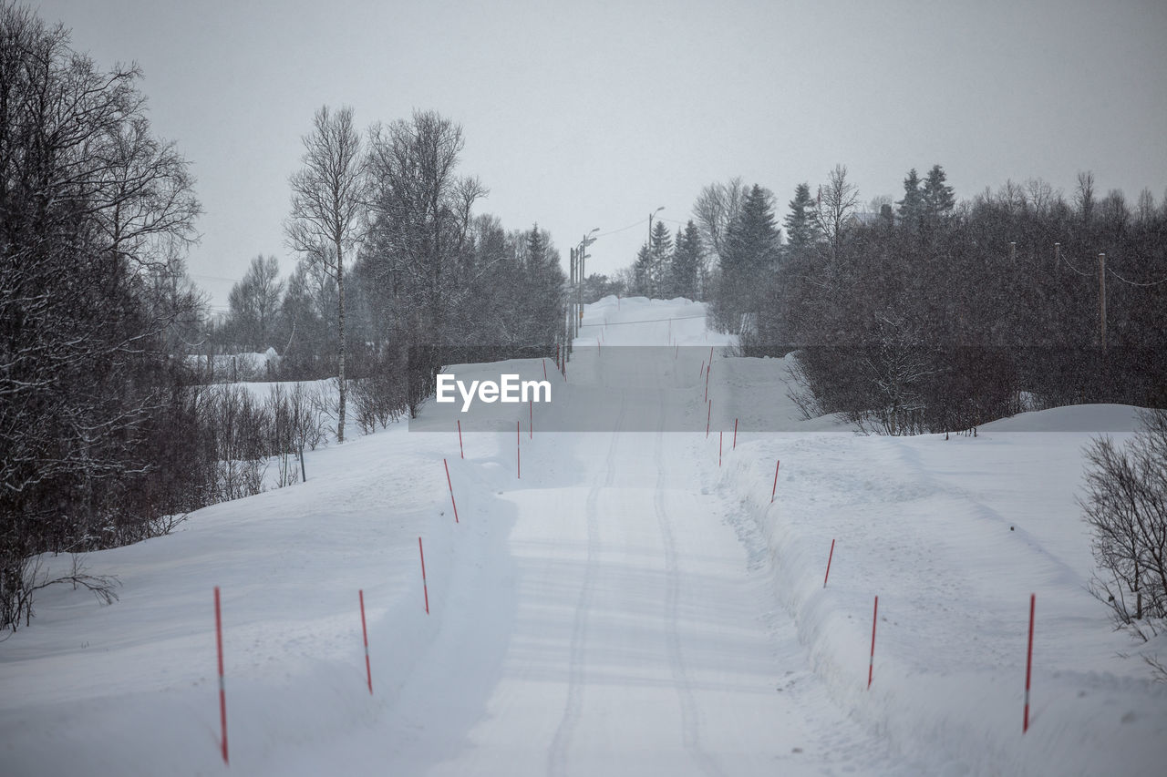 Empty snowcapped road amidst trees against sky