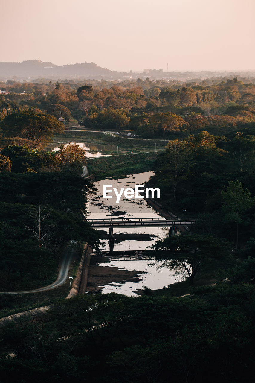 HIGH ANGLE VIEW OF LAKE AMIDST TREES IN FOREST