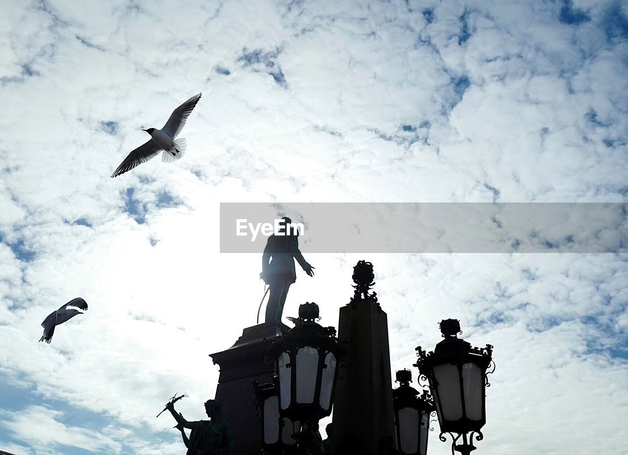 SILHOUETTE MAN WITH BIRDS IN SKY