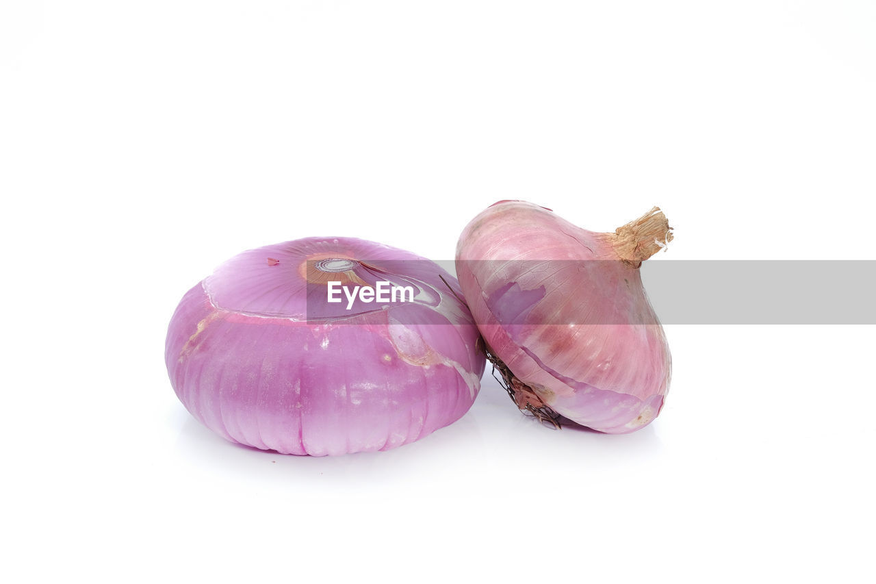 CLOSE-UP OF PURPLE AGAINST WHITE BACKGROUND