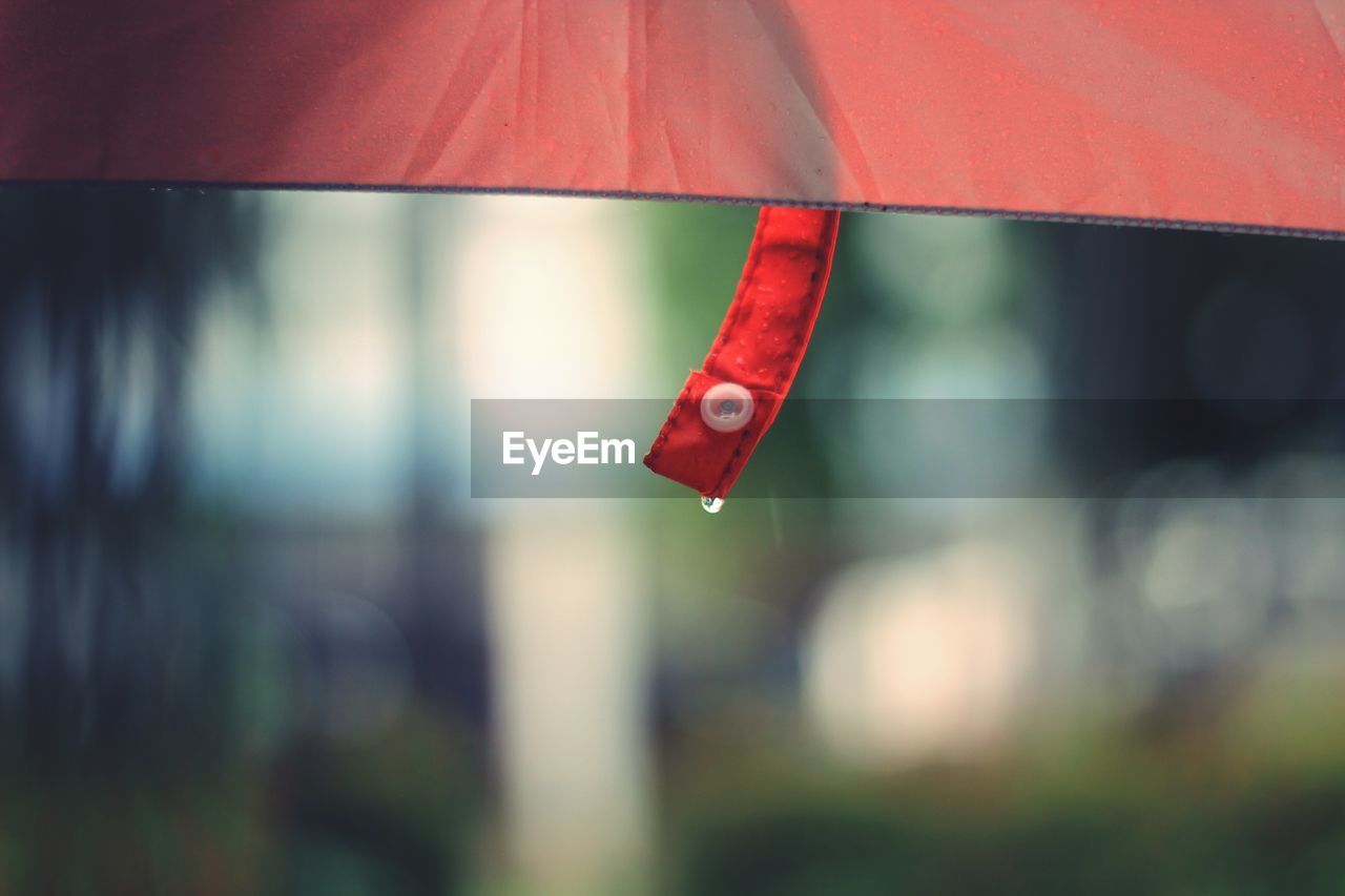 Close-up of red umbrella