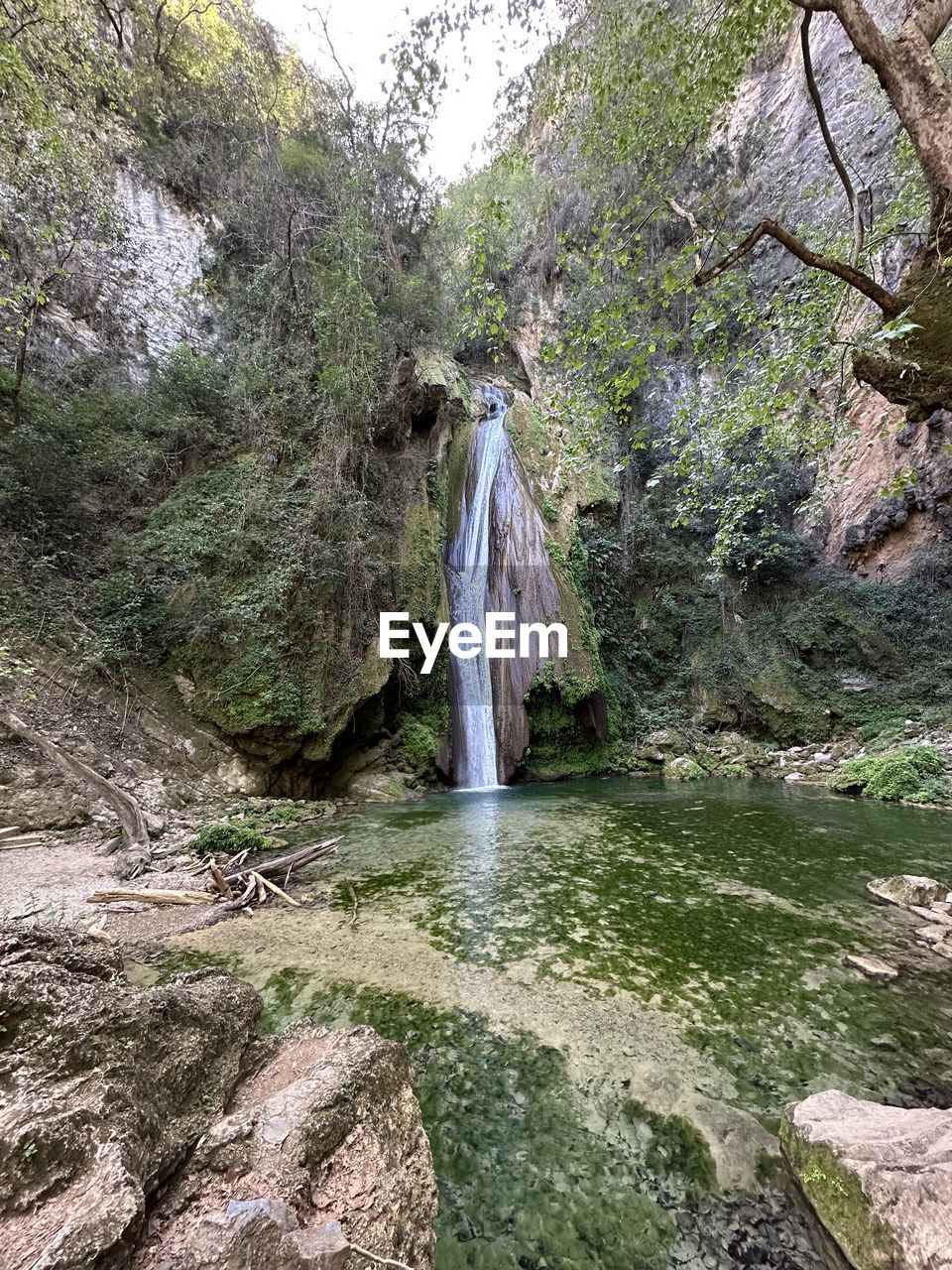 plant, tree, nature, day, trail, no people, water, wilderness, growth, stream, land, beauty in nature, tranquility, outdoors, high angle view, forest, green, scenics - nature, non-urban scene, rock, tranquil scene, tree trunk