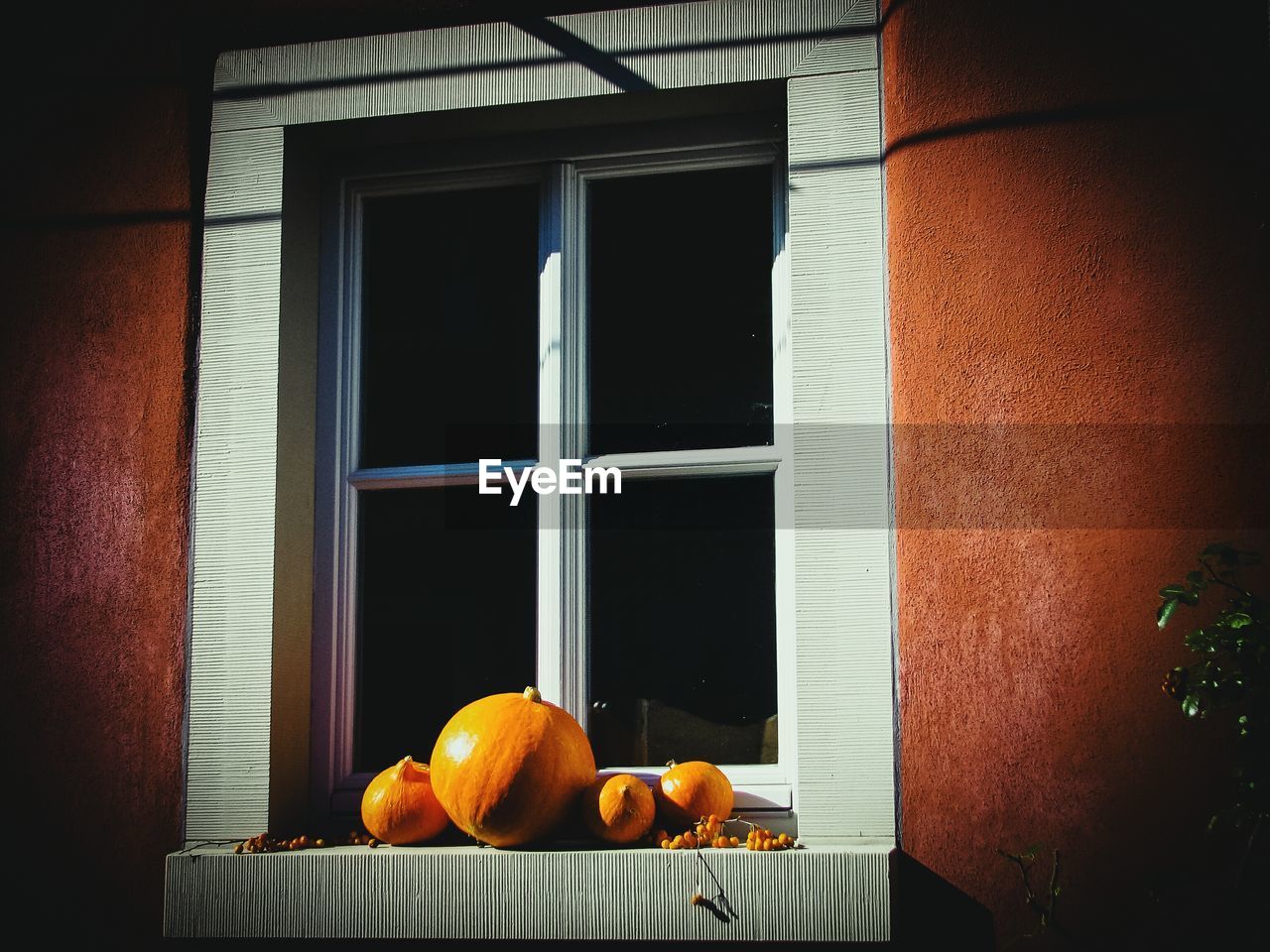 Squashes on window sill