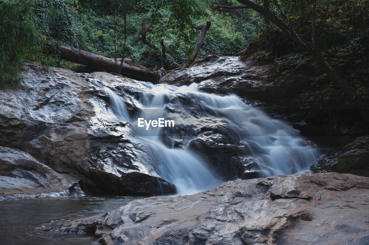 Scenic view of waterfall in forest