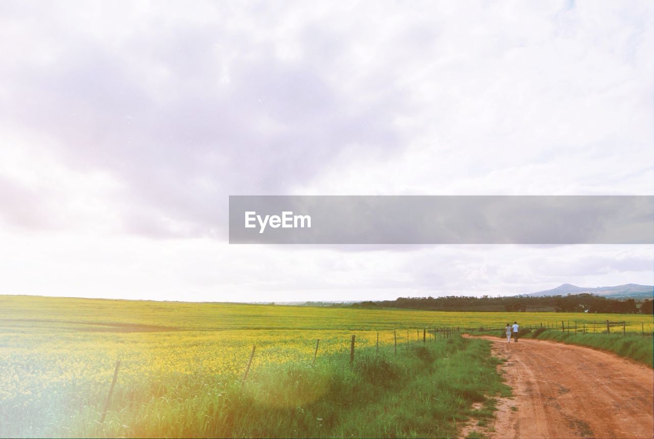 Scenic view of country road and grassy field