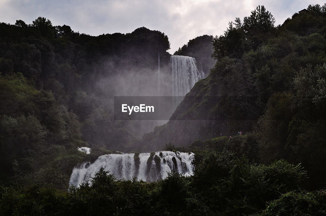 View of waterfall in forest