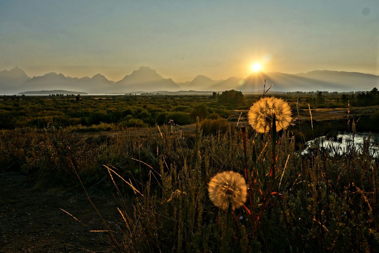 SCENIC VIEW OF MOUNTAINS AT SUNSET
