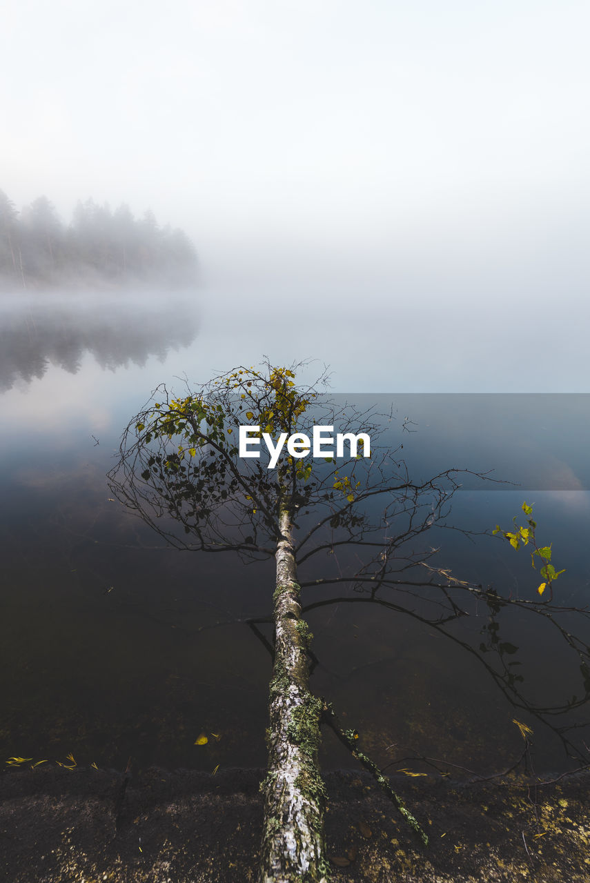 VIEW OF CALM LAKE AGAINST FOGGY WEATHER